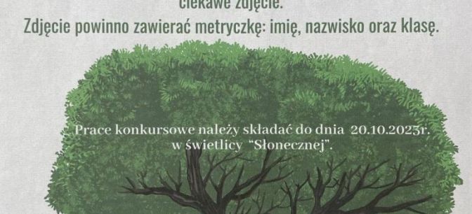 2023 warszawskie drzewo czasu